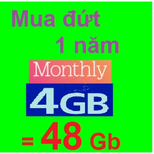 4Gb/tháng - Mua đứt 1 năm (miễn phí tháng)
